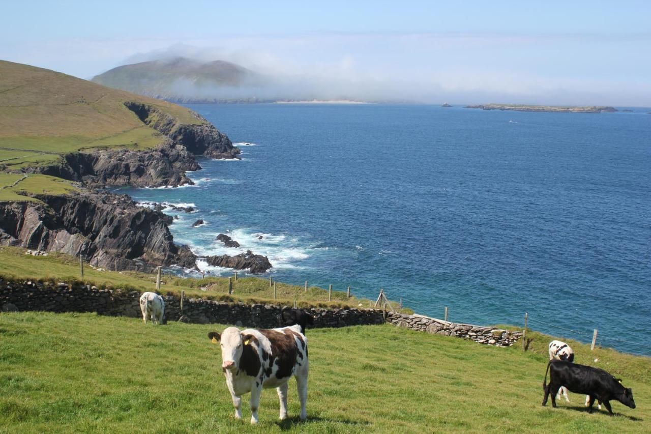 Dingle Courtyard Holiday Homes 3 Bed By Trident Holiday Homes Exteriér fotografie